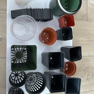 Assorted Small Plant Pots and Nursery Containers - Black, Green, Brown, Clear